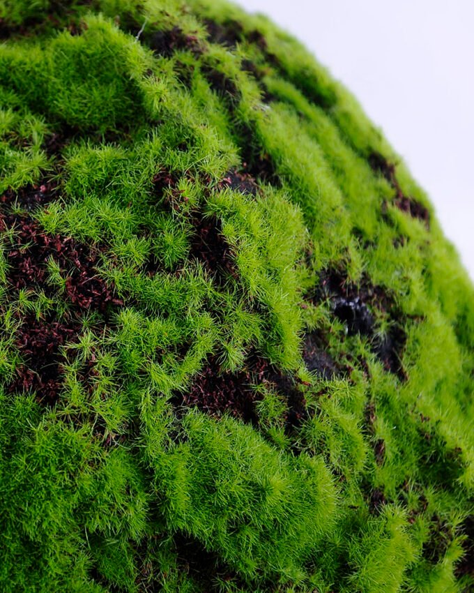 Artificial Plant D:28CM Echinopsis tubiflora GS-52619010