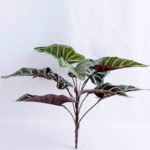 Artificial Plant 40*40*31CM Alocasia?Lvs Bush*9 GS-52419010