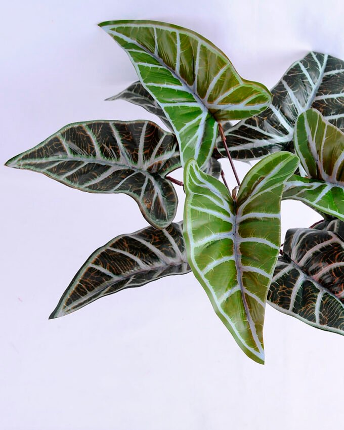 Artificial Plant 40*40*31CM Alocasia?Lvs Bush*9 GS-52419010 2 Artificial Plant 40*40*31CM Alocasia?Lvs Bush*9 GS-52419010