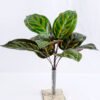 Artificial Plant 44*41*33CM Alocasia?Lvs Bush*9 GS-52419017