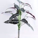 Artificial Plant 48*42*42cm Alocasia leaves bush GS-52319001-G2
