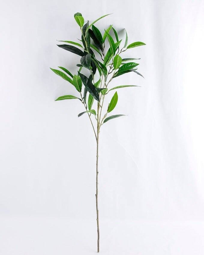 Artificial Plant 39*38*92cm Cedrela?L GS-52019006