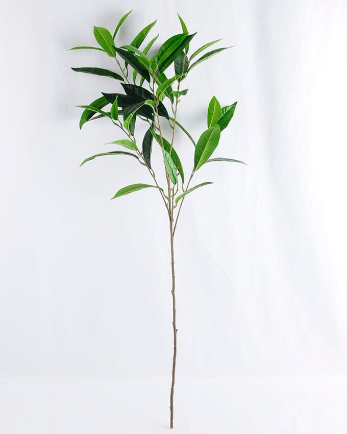 Artificial Plant 39*38*92cm Cedrela?L GS-52019006