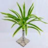 Artificial Plant 31*30*35CM Chlorophytum*26 GS-52419015-G2