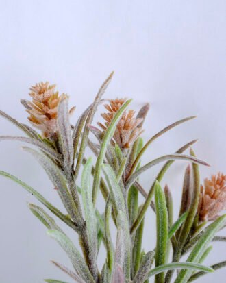 Artificial Plant 33*11*64CM Corsvenor bush GS-45619014 Flowers Bush YeahFlower is one of Chinese leading OEM manufacturers and exporters , supplying the silk flowers, wholesale artificial trees Artificial Plant 33*11*64CM Corsvenor bush GS-45619014