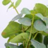 Artificial Plant 17*52CM Eucalyptu*2 GS-07319006