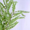 Artificial Plant 28*23*100cm ?Fern leaf GS-27919006