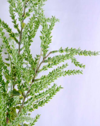 Artificial Plant 28*23*100cm ?Fern leaf GS-27919006