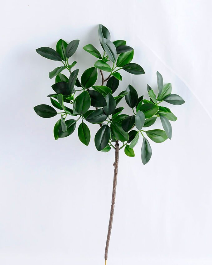 Artificial Plant 25*47CM Ficophyllum*3 GS-52019015 1 Artificial Plant 25*47CM Ficophyllum*3 GS-52019015