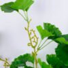 Artificial Plant 32*91CM Ginkgo leaf*3 GS-52019012