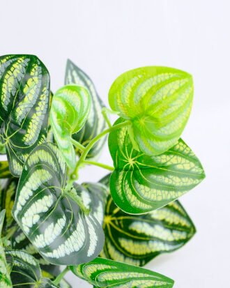 Artificial Plant 20*20*27CM Lvs Bush*7 GS-52419004