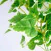 Artificial Plant 20*19*30CM Pothos Lvs Bush GS-07319004