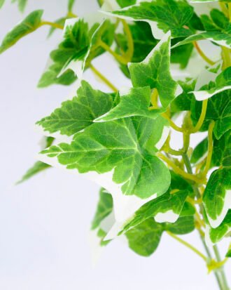 Artificial Plant 20*19*30CM Pothos Lvs Bush GS-07319004