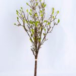 Artificial Plant 7*19*49 Spring bud bush GS-27919005