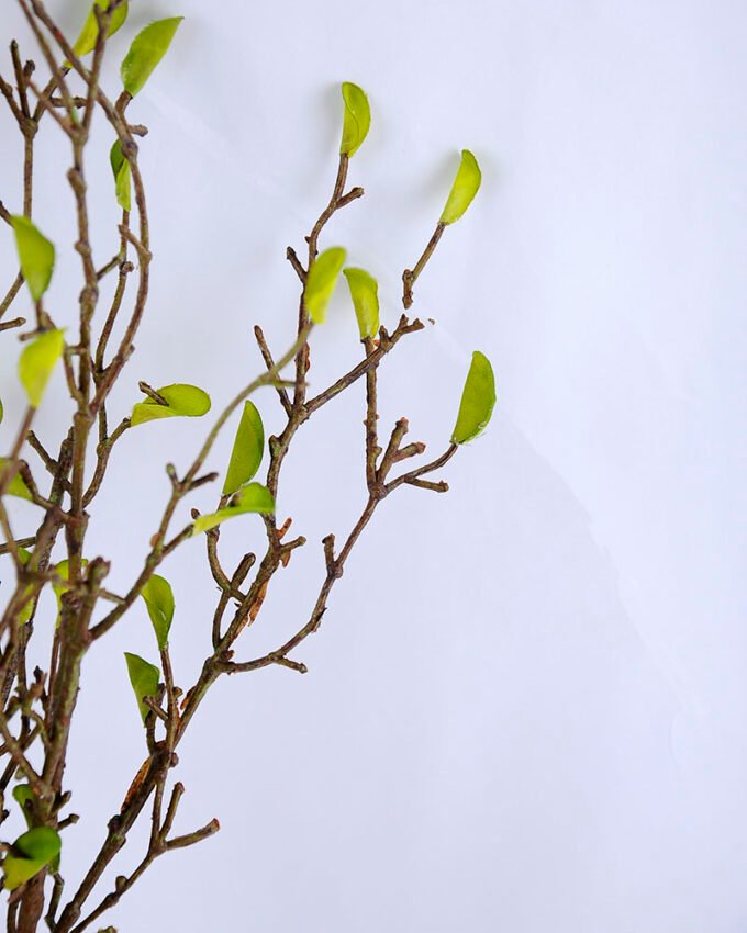 Artificial Plant 7*19*49 Spring bud bush GS-27919005