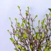 Artificial Plant 32*21*50cm The green tree GS-27919004