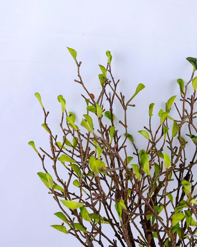 Artificial Plant 32*21*50cm The green tree GS-27919004