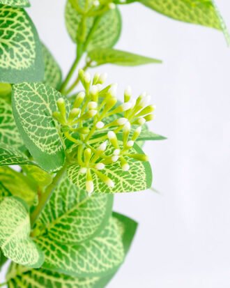 Artificial Plant 27*22*42CM Vein Lvs Bush*5 GS-52419011