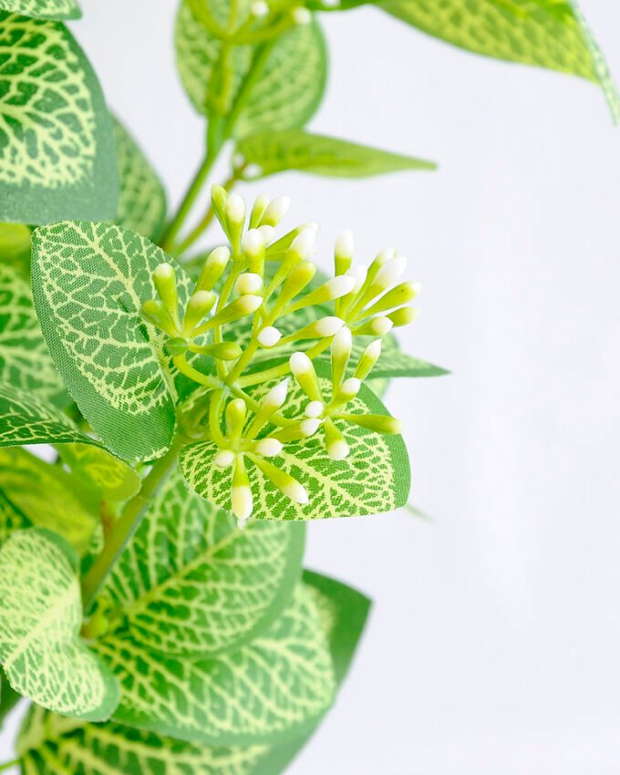 Artificial Plant 27*22*42CM Vein Lvs Bush*5 GS-52419011