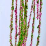 Artificial Plant 18*132CM Willow?Branch GS-50719002-R1
