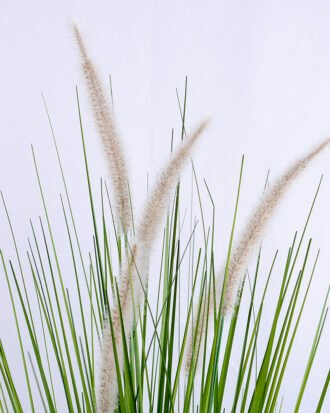 Artificial Plant 35*30*70cm bristlegrass in?pot GS-29419008