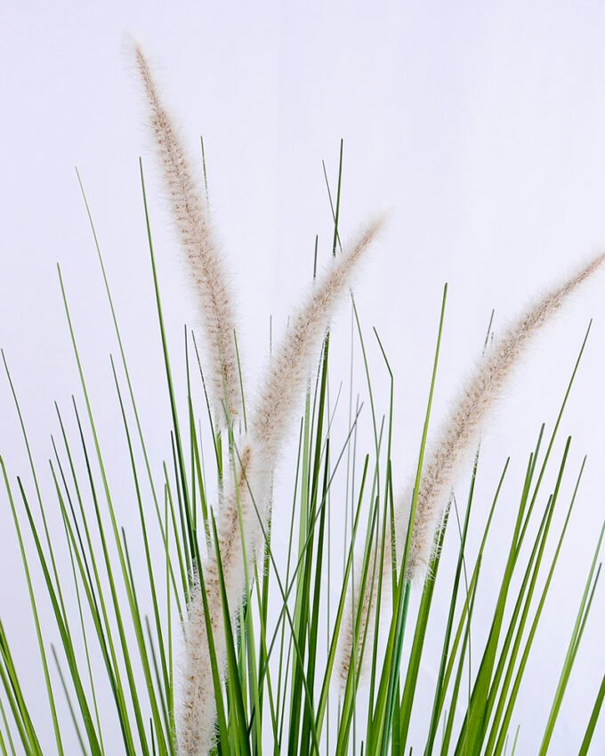 Artificial Plant 35*30*70cm bristlegrass in?pot GS-29419008