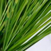 Artificial Plant 66*66*77CM grass in plastic pot GS-29419004