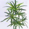 Artificial Tree 33*31*45 Aegilps umbellulata GS-07919015