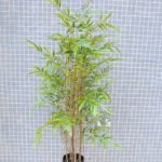 Artificial Tree 62*43*124CM Bamboo tree in plastic pot/lvs715 GS-30419008