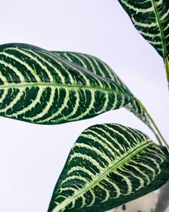 Artificial Tree 50*47*61cm Leaves bush GS-07919009