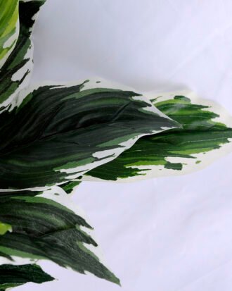 Artificial Tree 53*46*53cm Leaves bush GS-07919012