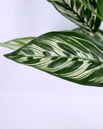 Artificial Tree 45*48*64cm Leaves bush GS-07919017