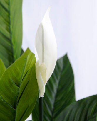 Artificial Tree 58*56*72cm Taro leaves bush GS-07919020