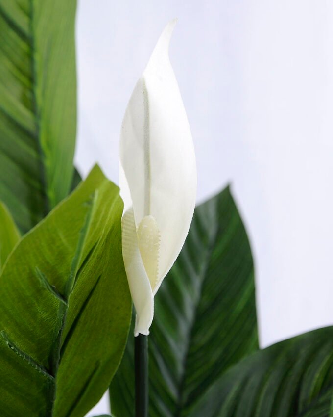 Artificial Tree 58*56*72cm Taro leaves bush GS-07919020 2 Artificial Tree 58*56*72cm Taro leaves bush GS-07919020