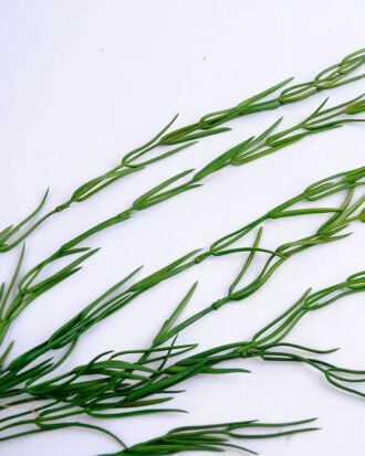 Artificial succulent 14*89cm Hanging succulent   Hanging rope: 10cm GS-51719020