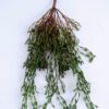 Artificial succulent 29*5*47cm grass hanging GS-51719019-G1