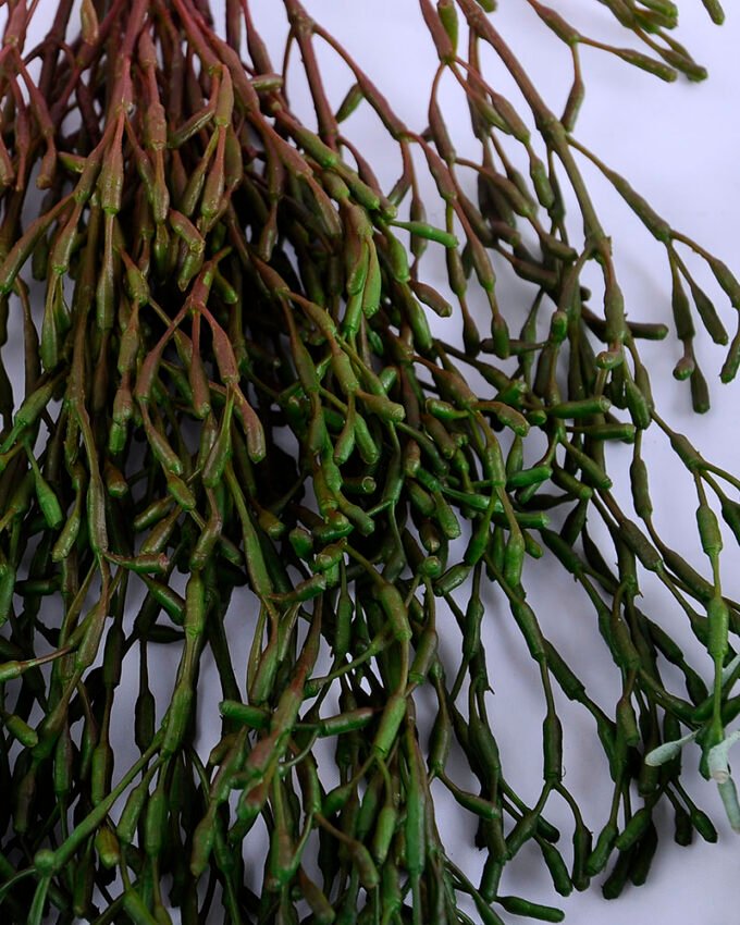 Artificial succulent 29*5*47cm grass hanging GS-51719019-G1