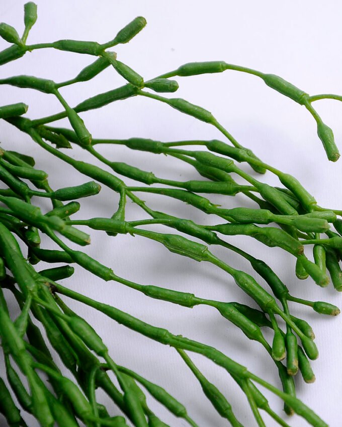 Artificial succulent 29*5*47cm grass hanging GS-51719019-G2