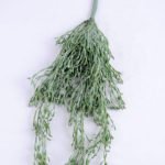 Artificial succulent 29*5*47cm grass hanging GS-51719019-G3
