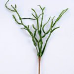 Artificial succulent 25*61cm succulent plants hanging GS-51719024