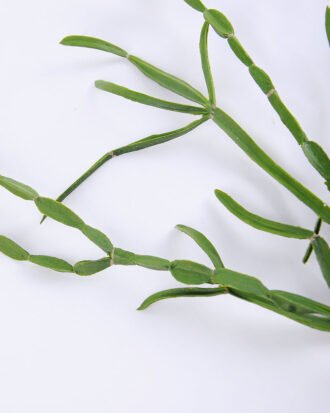 Artificial succulent 25*61cm succulent plants hanging GS-51719024