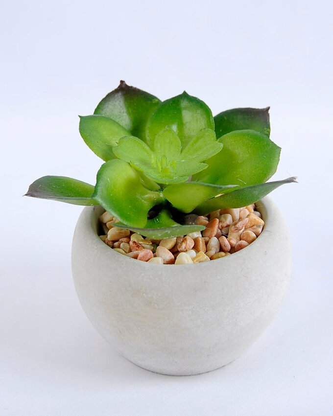 Artificial succulent 8*7 Artificial succulent 8*7.5*7cm succulent plants in cement pot GS-51719001