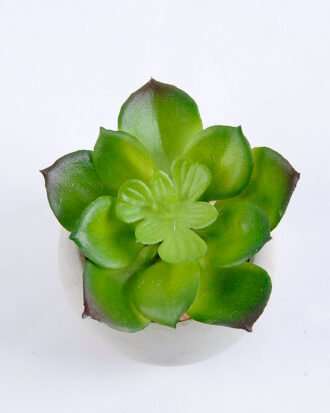 Artificial succulent 8*7.5*7cm succulent plants in cement pot GS-51719001 Succulent YeahFlower is one of Chinese leading OEM manufacturers and exporters , supplying the silk flowers, wholesale artificial trees Artificial succulent 8*7.5*7cm succulent plants in cement pot GS-51719001