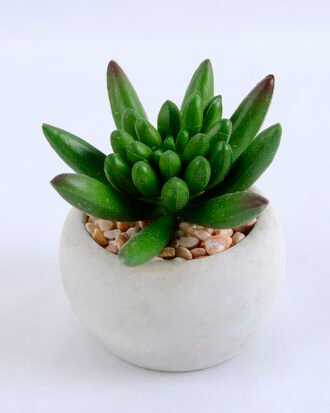 Artificial succulent 7.5*7.5*7.5cm succulent plants in cement pot GS-51719002
