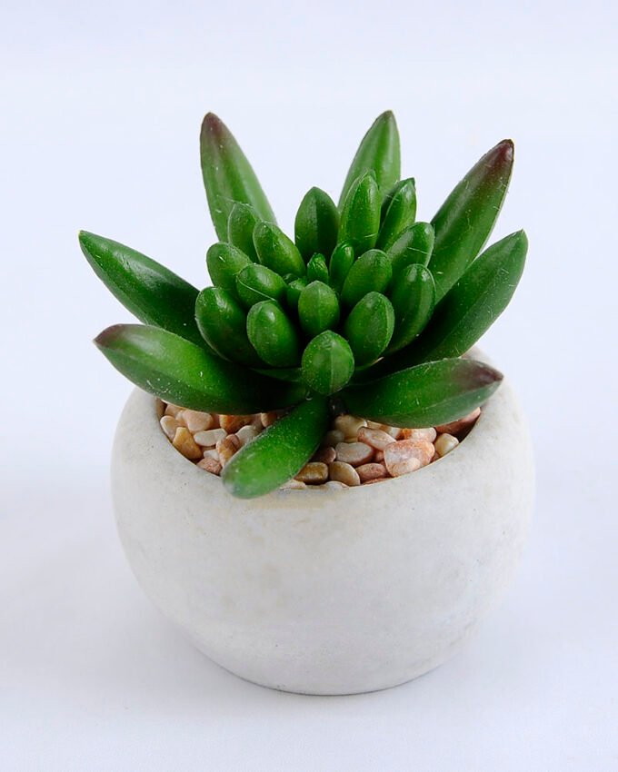 Artificial succulent 7.5*7.5*7.5cm succulent plants in cement pot GS-51719002