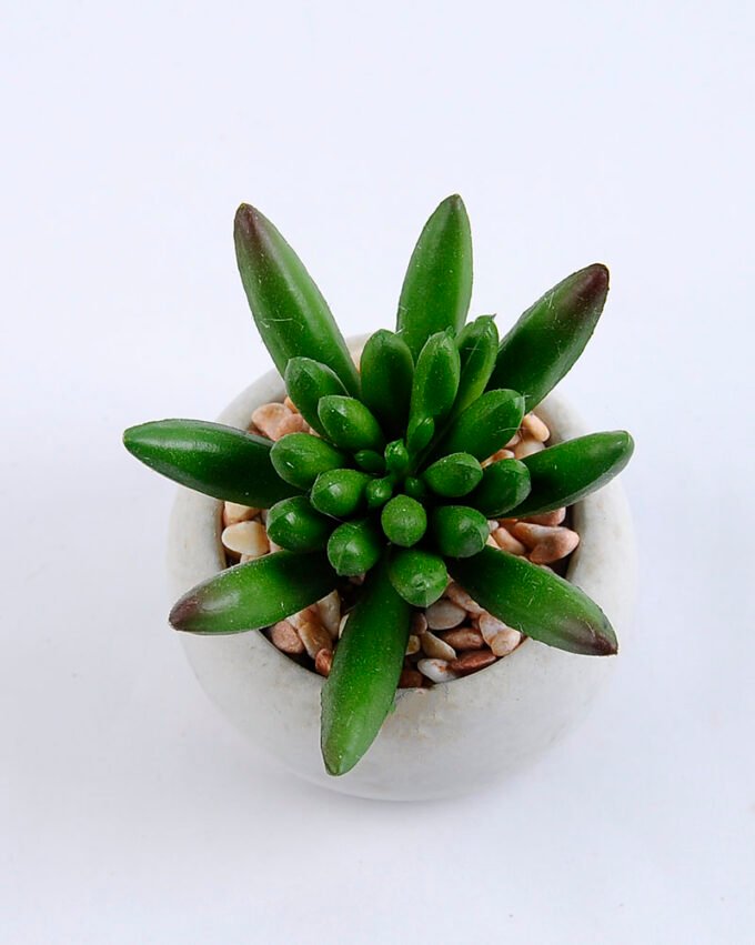 Artificial succulent 7.5*7.5*7.5cm succulent plants in cement pot GS-51719002
