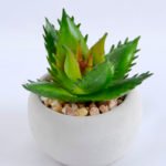 Artificial succulent 7*7*8cm succulent plants in cement pot GS-51719003