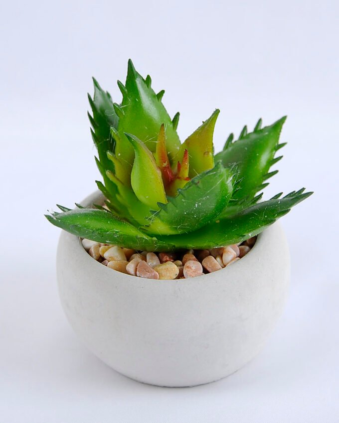Artificial succulent 7*7*8cm succulent plants in cement pot GS-51719003