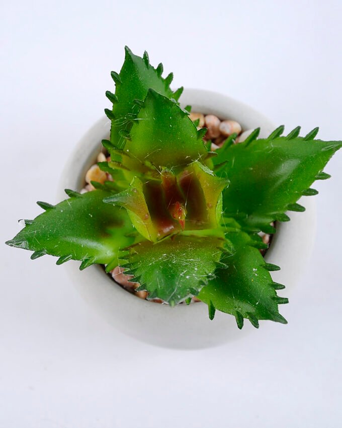 Artificial succulent 7*7*8cm succulent plants in cement pot GS-51719003