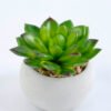 Artificial succulent 7.5*7.5*7.5cm succulent plants in cement pot GS-51719004
